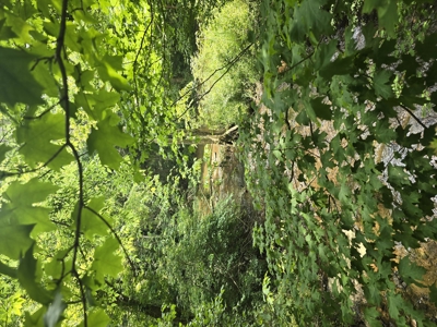 Prime 47.59 Acres Hunting/Recreational Land, Waterfront Borders - image 15