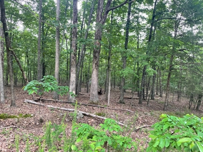 Three City Lots In Bull Shoals Arkansas - image 6