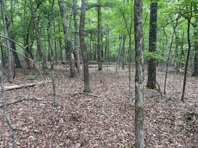 Three City Lots In Bull Shoals Arkansas - image 1