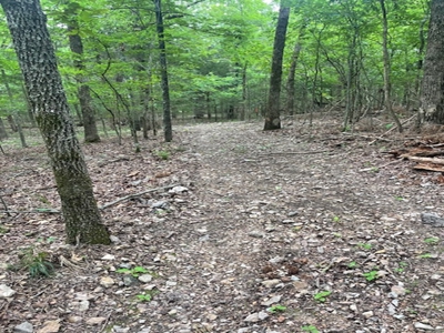 Three City Lots In Bull Shoals Arkansas - image 3