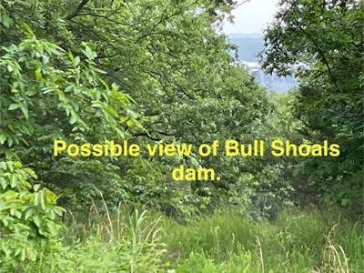 Three City Lots In Bull Shoals Arkansas - image 7