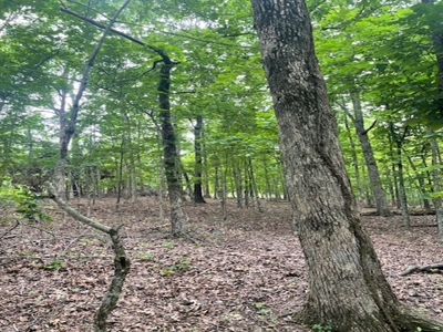 Three City Lots In Bull Shoals Arkansas - image 2