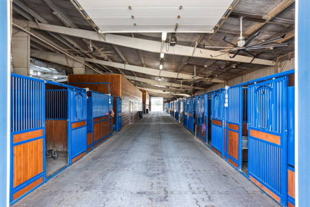 Oklahoma Premier Equestrian Facility For Sale - image 14