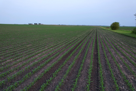 Greene County Iowa Farmland Auction - image 13