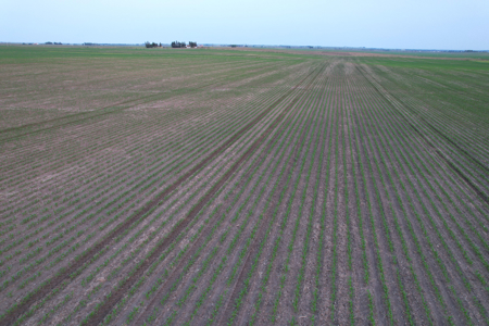Greene County Iowa Farmland Auction - image 19