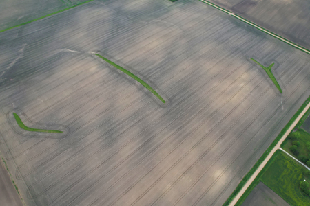 Greene County Iowa Farmland Auction - image 6