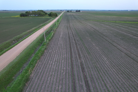 Greene County Iowa Farmland Auction - image 20