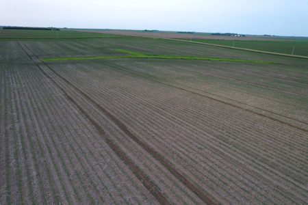 Greene County Iowa Farmland Auction - image 22