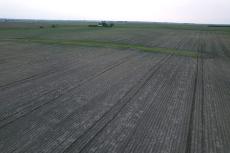 Greene County Iowa Farmland Auction - image 24
