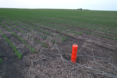 Greene County Iowa Farmland Auction - image 15