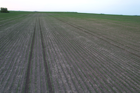 Greene County Iowa Farmland Auction - image 17