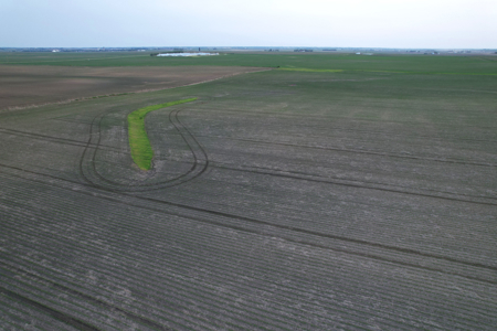 Greene County Iowa Farmland Auction - image 12
