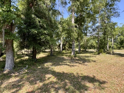 Home & Hangar For Sale in McAlpin, Florida - image 32