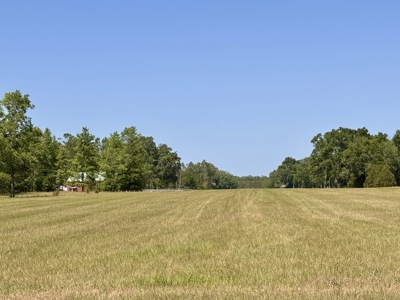 Home & Hangar For Sale in McAlpin, Florida - image 37