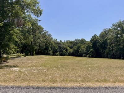 Home & Hangar For Sale in McAlpin, Florida - image 36
