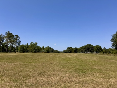 Home & Hangar For Sale in McAlpin, Florida - image 39