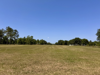 Home & Hangar For Sale in McAlpin, Florida - image 40