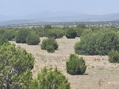 Historic Ice Plant Property with Wells & Views – 40 Acres in Esta - image 1