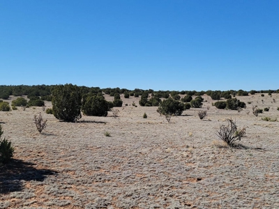 Historic Ice Plant Property with Wells & Views – 40 Acres in Esta - image 2