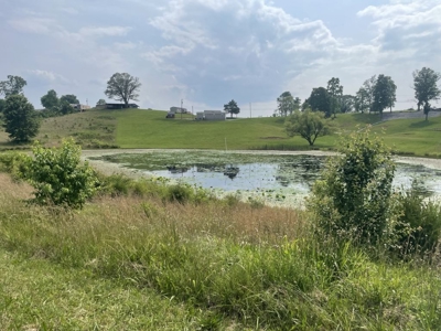 Unrestricted Land Near the Kentucky / Tennessee Border - image 3