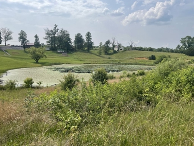 Unrestricted Land Near the Kentucky / Tennessee Border - image 6