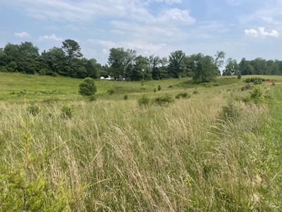 Unrestricted Land Near the Kentucky / Tennessee Border - image 2