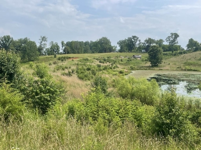 Unrestricted Land Near the Kentucky / Tennessee Border - image 1