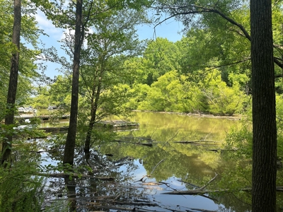 1-Acre Hilltop Retreat Near Clarksville, VA - Walk to Water! - image 14