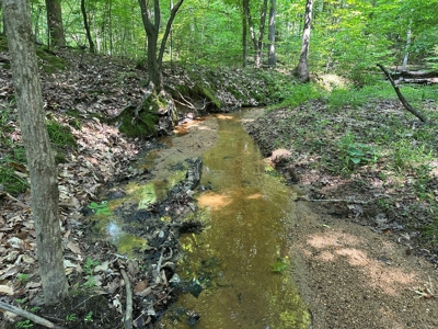 1-Acre Hilltop Retreat Near Clarksville, VA - Walk to Water! - image 13