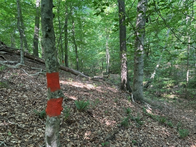 1-Acre Hilltop Retreat Near Clarksville, VA - Walk to Water! - image 11