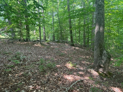 1-Acre Hilltop Retreat Near Clarksville, VA - Walk to Water! - image 17