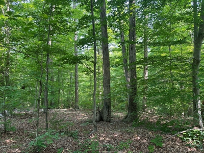 1-Acre Hilltop Retreat Near Clarksville, VA - Walk to Water! - image 2
