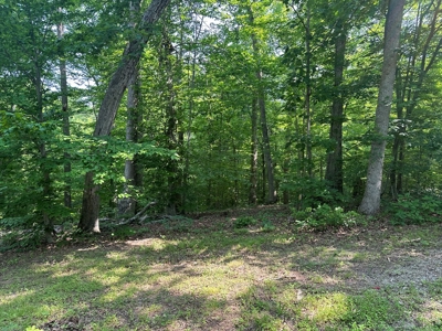 1-Acre Hilltop Retreat Near Clarksville, VA - Walk to Water! - image 3