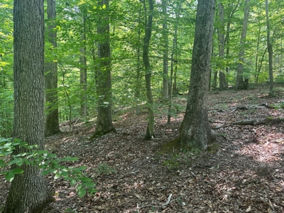 1-Acre Hilltop Retreat Near Clarksville, VA - Walk to Water! - image 16