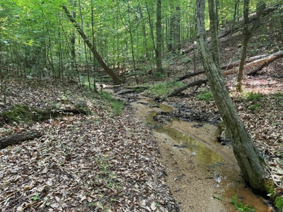 1-Acre Hilltop Retreat Near Clarksville, VA - Walk to Water! - image 12