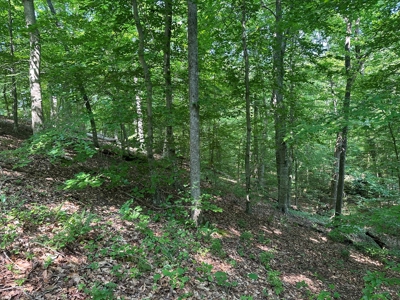 1-Acre Hilltop Retreat Near Clarksville, VA - Walk to Water! - image 8