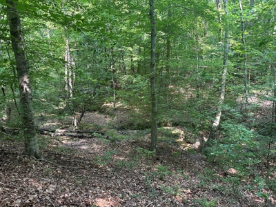 1-Acre Hilltop Retreat Near Clarksville, VA - Walk to Water! - image 9