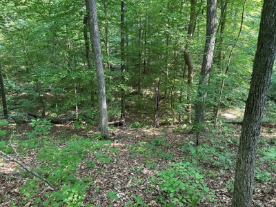 1-Acre Hilltop Retreat Near Clarksville, VA - Walk to Water! - image 7