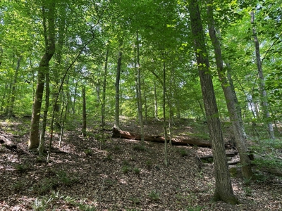 1-Acre Hilltop Retreat Near Clarksville, VA - Walk to Water! - image 10