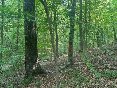 1-Acre Hilltop Retreat Near Clarksville, VA - Walk to Water! - image 15