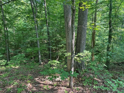 1-Acre Hilltop Retreat Near Clarksville, VA - Walk to Water! - image 4