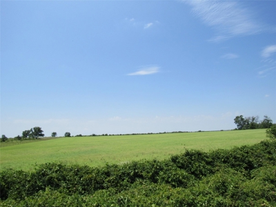 Land for Sale in Carbon Texas - 102 Acres - image 4