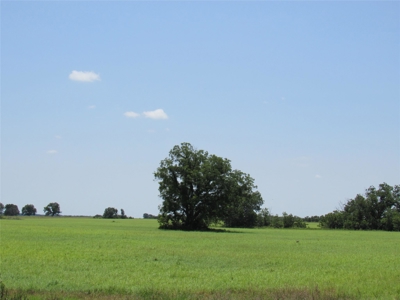 Land for Sale in Carbon Texas - 102 Acres - image 5