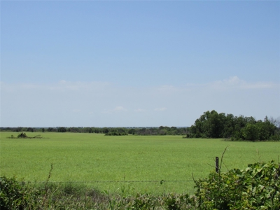 Land for Sale in Carbon Texas - 102 Acres - image 3