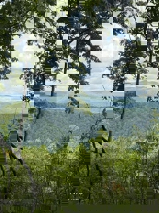 118 Surveyed Acres For Sale in Scott County VA - image 1