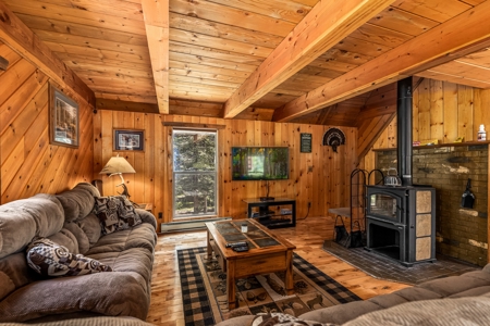 Charming Year-Round Mountain Retreat in Cimarron Colorado - image 20