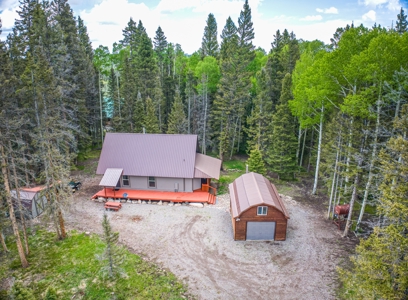 Charming Year-Round Mountain Retreat in Cimarron Colorado - image 2