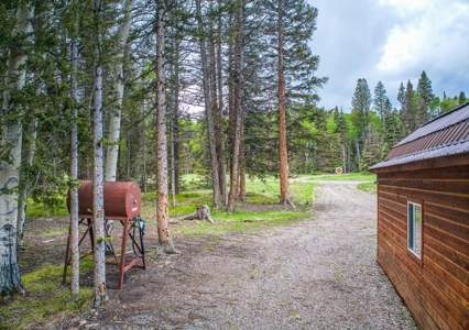 Charming Year-Round Mountain Retreat in Cimarron Colorado - image 9
