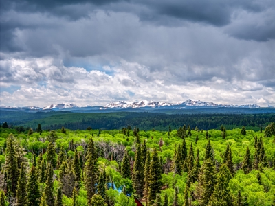 Charming Year-Round Mountain Retreat in Cimarron Colorado - image 10