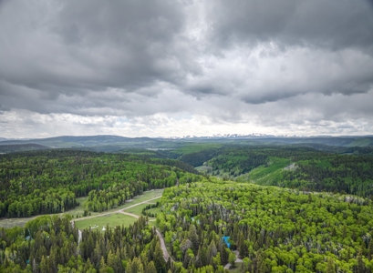 Charming Year-Round Mountain Retreat in Cimarron Colorado - image 13
